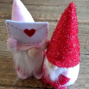 🦋 VALENTINE'S DAY GNOMES🦋